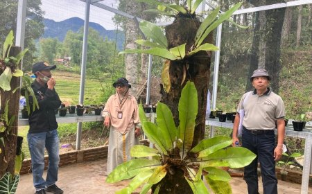 Green House Eduwisata