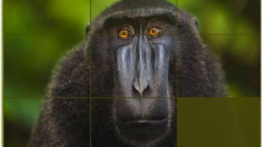 GAME PUZZLE SATWA IDENTITAS SULAWESI